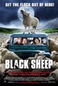Паршивая овца (Black Sheep)