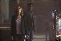 wallpappers_005 (1203x800, 130 kБ...)