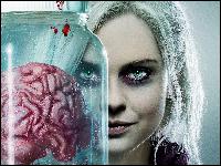 wallpappers001 (1024x768, 426 kБ...)